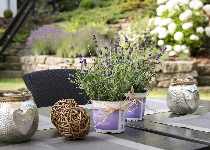 Апартаменты Simon's Курорт Обервизенталь